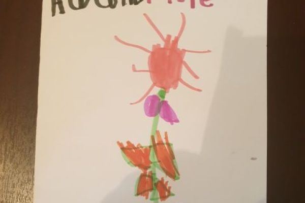 Adam's birthday card for Hope