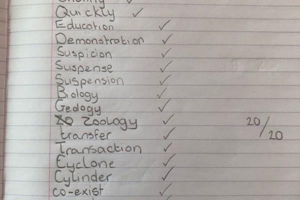 Amy's spelling score