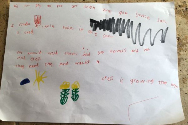 Anna's writing about planting and monitoring growth