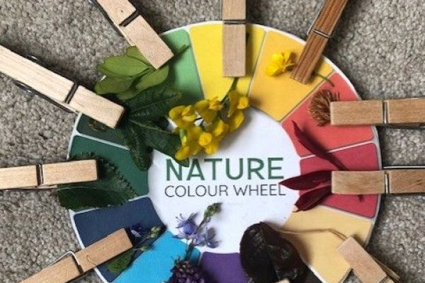 Amy and Ellie's colour nature wheel