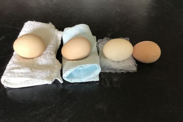 Daniel N - eggs to roll in science experiment