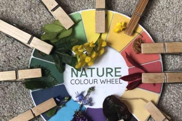 Ellie and Amy's colour wheel challenge