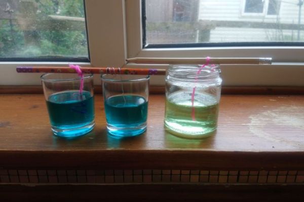 Poppy making crystals