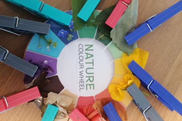 Nature colour wheel by George and Daisy