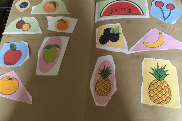 Anna found and named some fruits grown in Africa