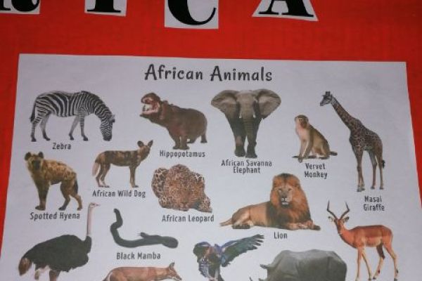 George has been researching African animals