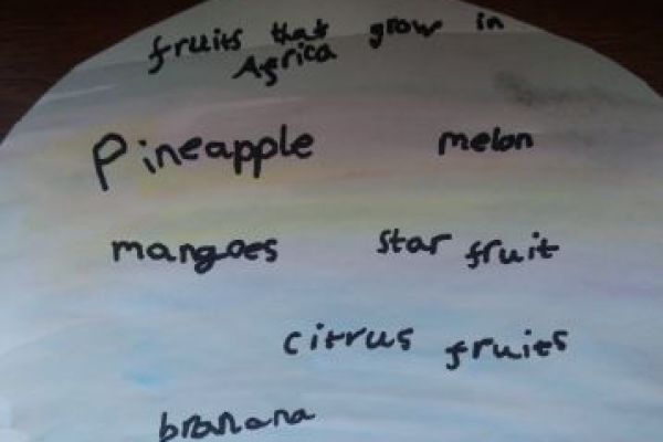 Poppy has found out about fruits that grow in Africa, and then made a yummy fruit salad